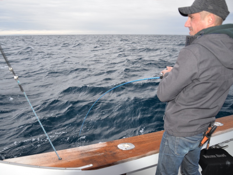 La canne Jig Light Inchiku Italcanna dispose d’une grande réserve de puissance au talon !