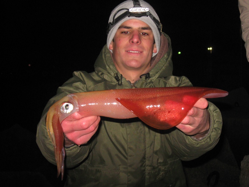 Joli calamar pêché avec la technique du bouchon lumineux !