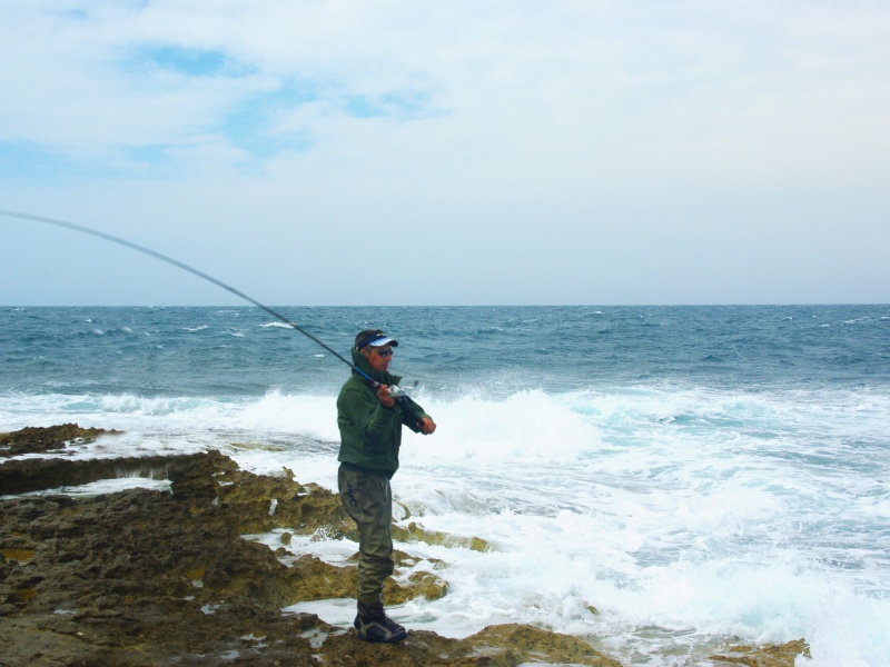 Avec ses distances de lancer records, le Shoreline Shiner-Z Vertice R Daiwa est idéal pour les pêches du bar du bord !