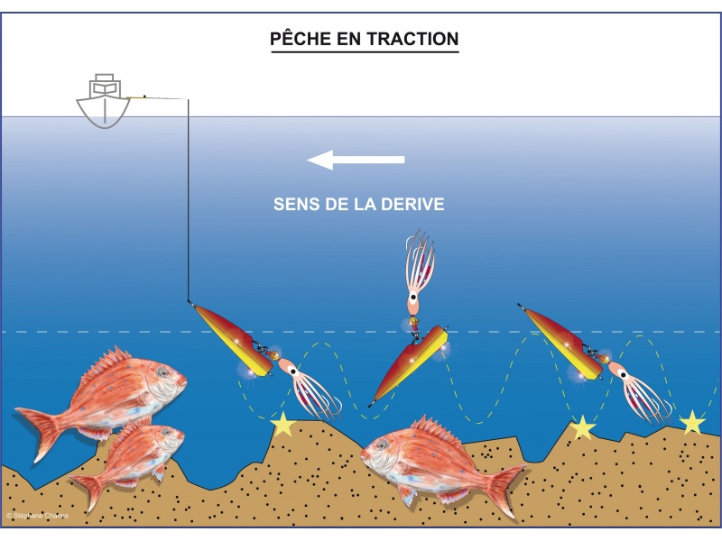 Un inchiku manié en traction au ras du fond est hyper attractif !