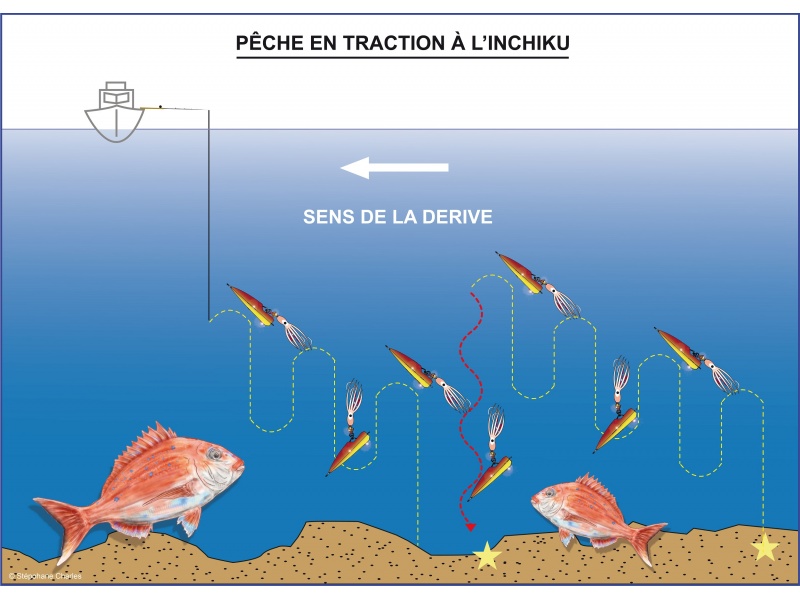 Un inchiku est d'une rare efficacité animé en traction ascensionnelle !