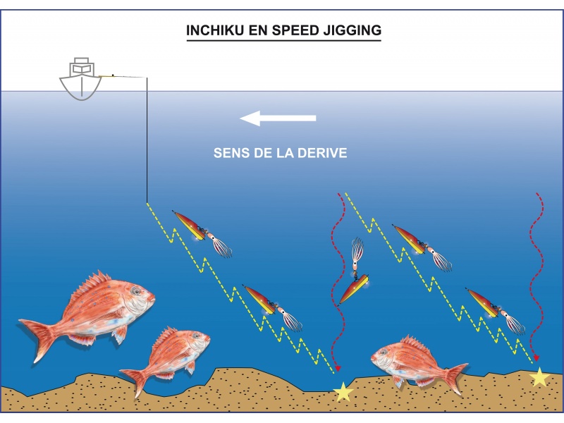 Le speed jigging avec un inchiku est une technique très efficace !