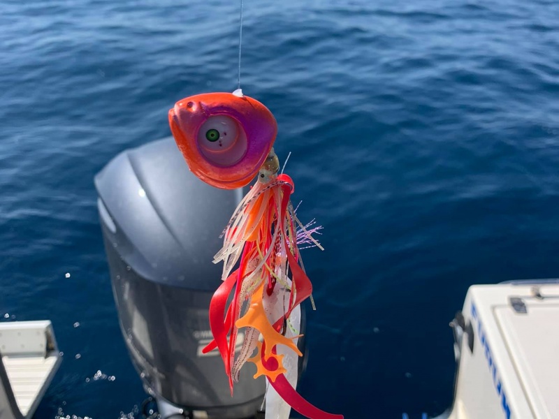 Le Grumpy Fish Glowbite  est le premier madaï jig doté d’un œil lumineux, de billes bruiteuses et d’un diffuseur d’attractant. Une véritable révolution ! 