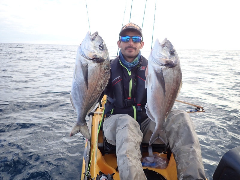 La pêche au tenya est une technique ultra efficace sur les beaux sparidés !