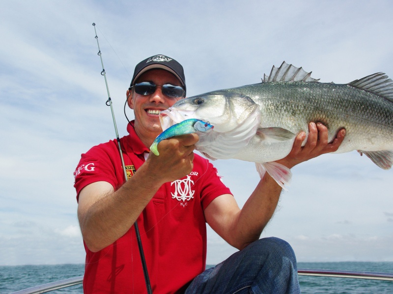 Superbe bar de 7.1 kg pris au shad prémonté en texan Blue Shad Flashmer