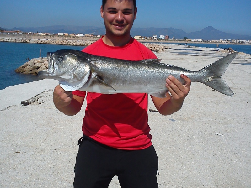 Superbe tassergal de 6 kg pris du bord au vif par Marc!