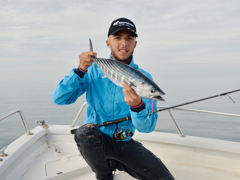 Belle pélamide prise à l’Ace Hayabusa par Nicolas !