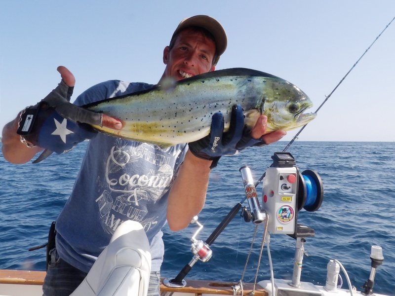 21-coryphene.jpg Fabien Harbers avec une coryphène prise au downrigger Kristal Fishing