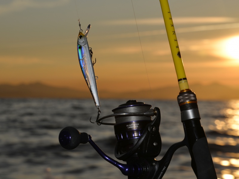 Le 3DB Jerkbait Yo-Zuri offre un réalisme bluffant !