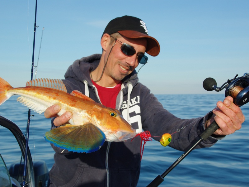 Le madaï jig est très efficace sur les grondins perlons – même sans appâts !