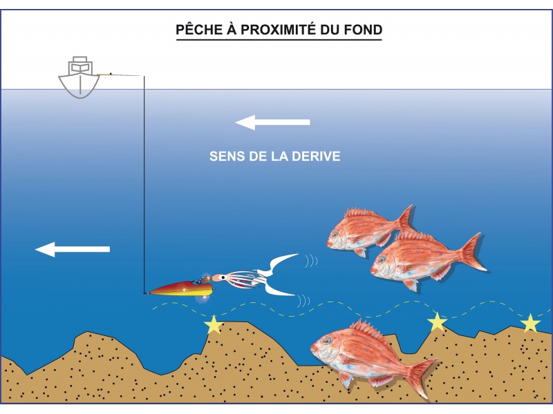 Pêche à proximité du fond avec un inchiku boosté avec de l'appât