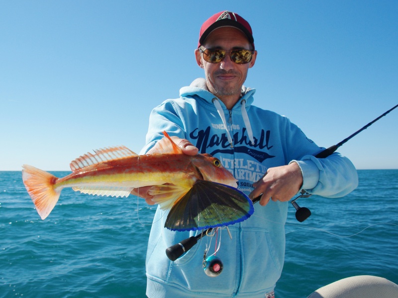 Ce grondin perlon a mordu sur un madaï sans appâts avec la technique du bottom taping !
