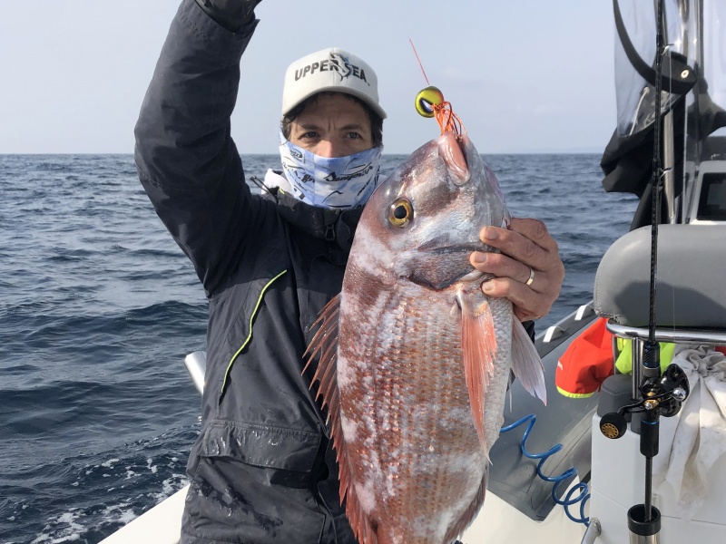 Magnifique pagre de 3,5 kg  pris au madaï jig par Fabien Harbers avec l’Amazing Top fishing !
