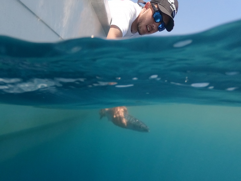 Relâche de la bonite que Nicolas venait de pêcher à l’ Ace Hayabusa