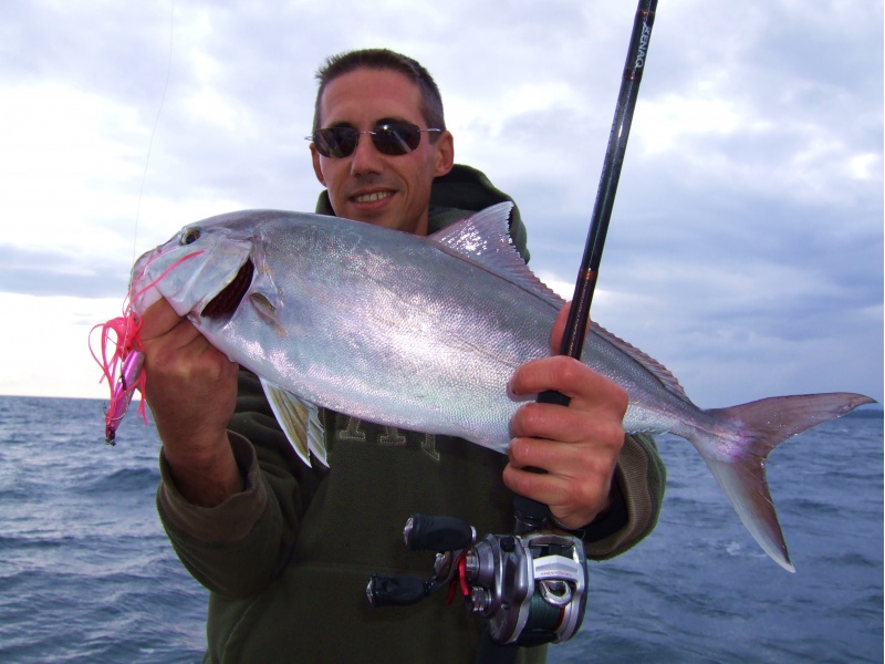 Sériole pêchée à l’Inchiku Big Fin Hot’s