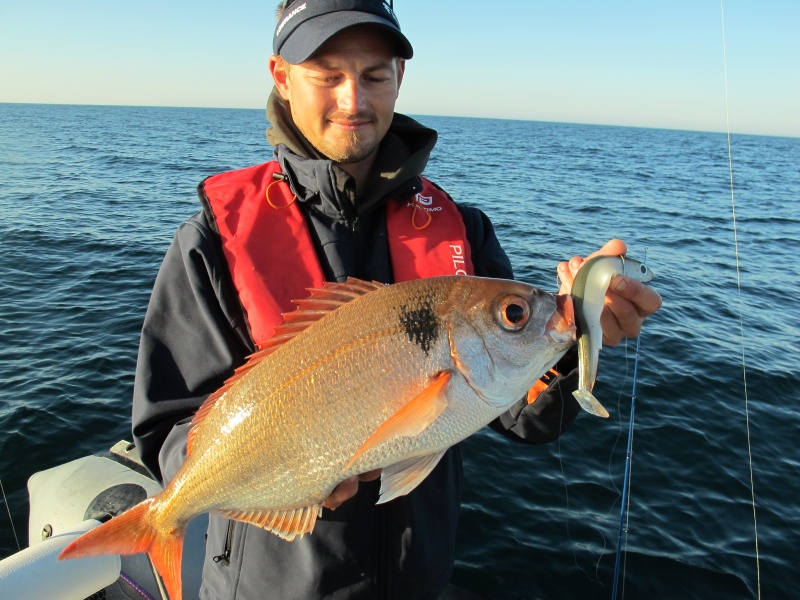 27-enorme-dorade-rose-prise-shad-black-minnow-fiiish.jpg Enorme dorade rose prise au shad Black Minnow Fiiish !