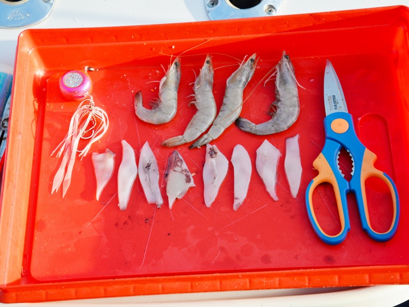 Madaï jig VS + Hayabusa