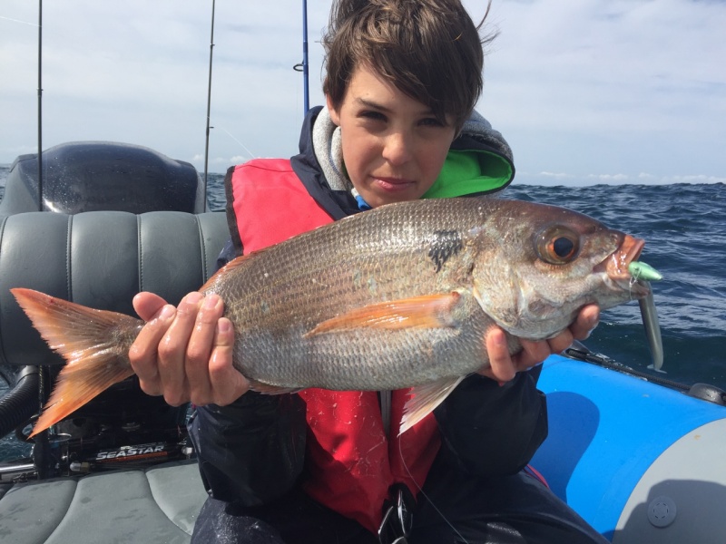 28-belle-dorade-rose-ete-peche-finess-crazy-sand-eel-fiiish.jpg Enorme dorade rose prise au shad Black Minnow Fiiish !