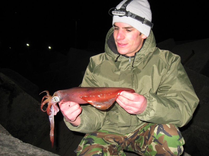Grâce à cette pêche très ludique, il est facile de multiplier les prises de calamars !