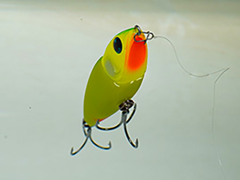 Au repos, le Morethan Trick Upper R Daiwa offre une position inclinée à la surface de l’eau 