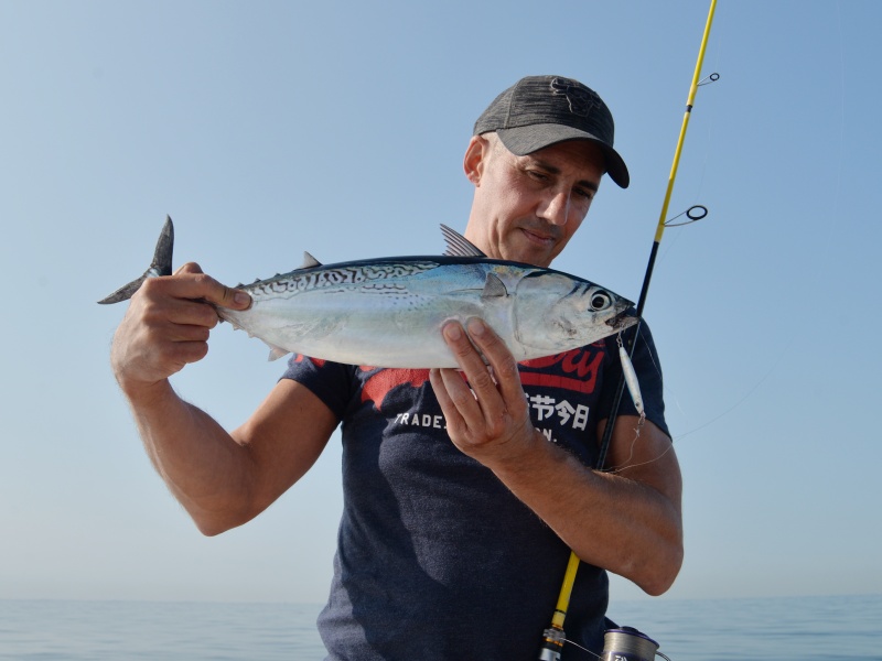 Bonitou pris à la L-Jack Flashmer 18 g