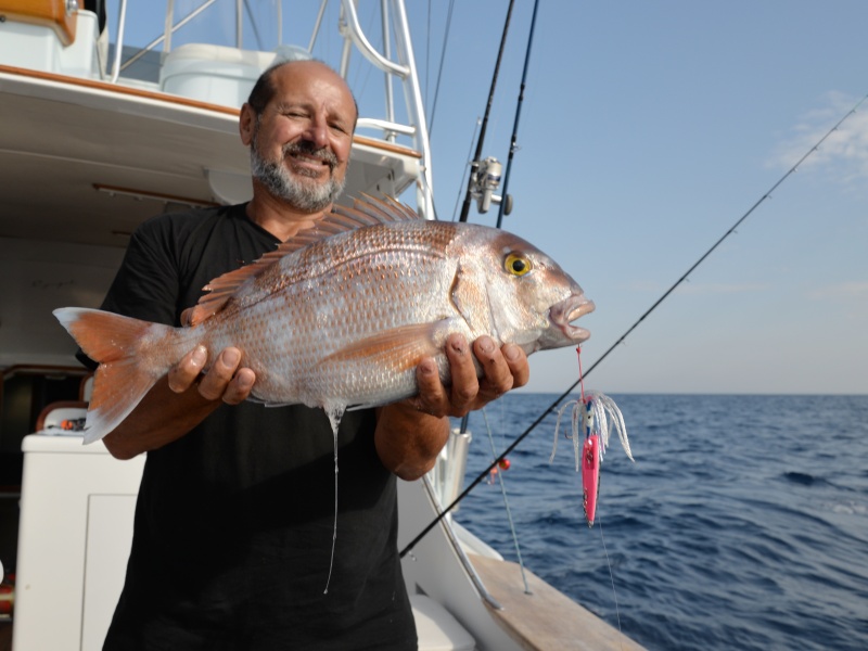 Gros pagre pris avec un inchiku Pirate Daiwa !