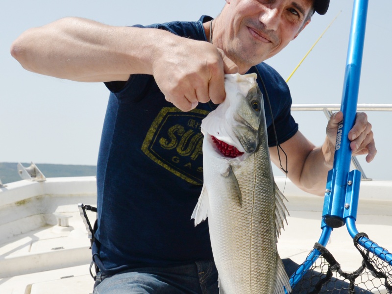 Le Morethan Trick Upper R Daiwa est un must pour le bar ! 