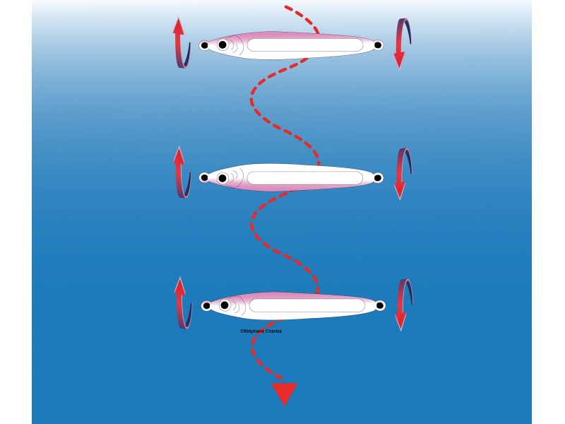 La L-Jack Flashmer coule en feuille morte avec un très fort rolling