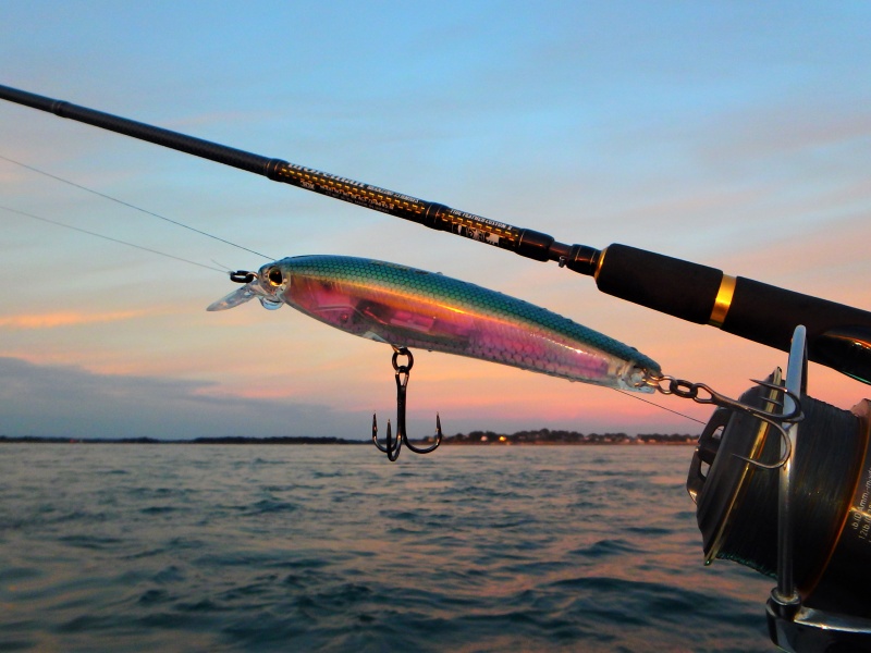 3dr-minnow-un-realisme-bluffant.jpg 3DR Minnow, un réalisme bluffant