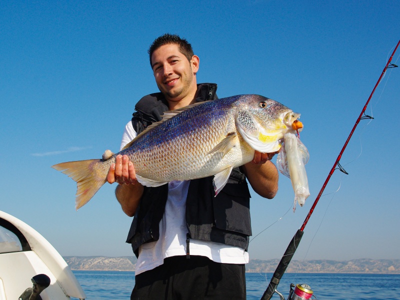 Ce magnifique denti pêché au Fireball Top Sea montre bien l’efficacité du calamar en mer !