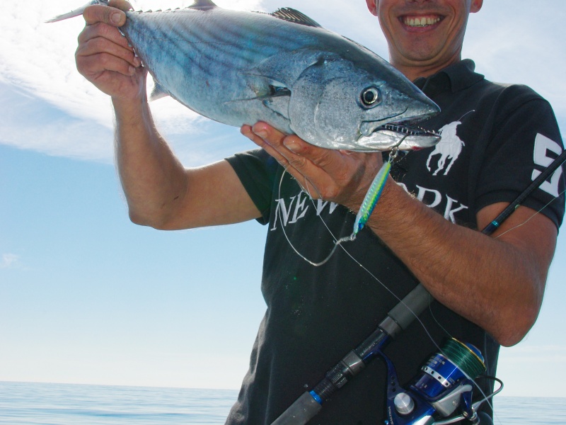 Tokon Damiki : un casting jig hyper efficace sur les pélamides !