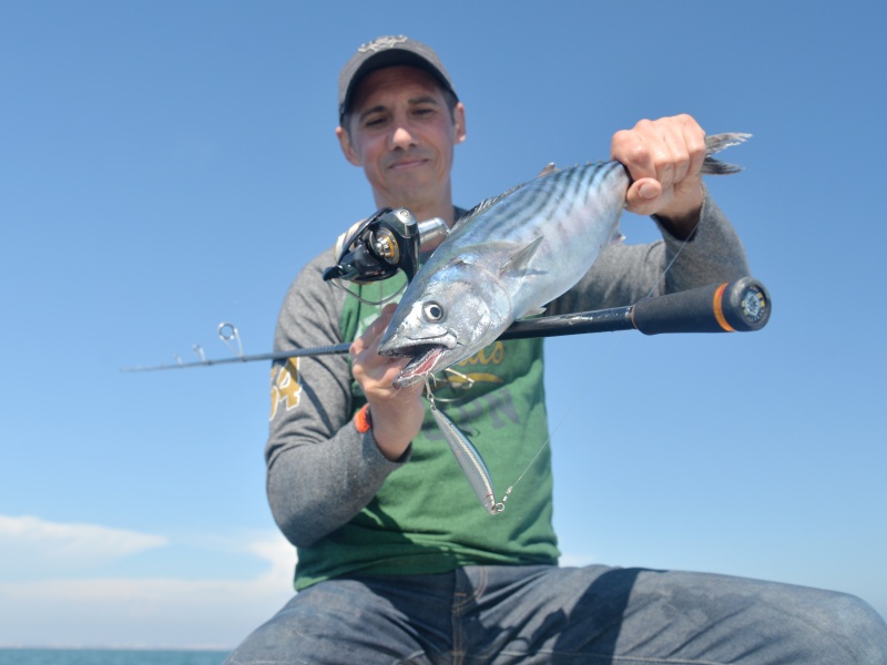Fonctionnant sur simple ramené linéaire, l’efficacité de l’Athlète 9JM est impressionnante. Un coup de cœur Top Fishing !
