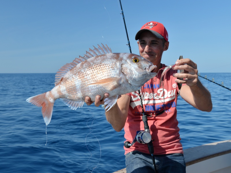 Magnifique pagre de 3.5 k pêché à l’Inchiku !