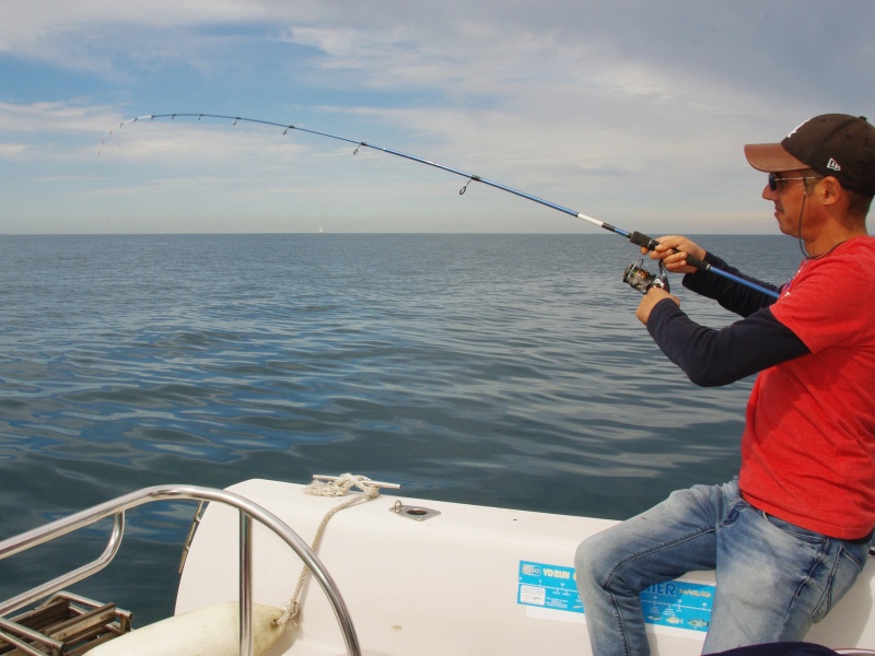 Le grondin perlon se pêche facilement à l’appât