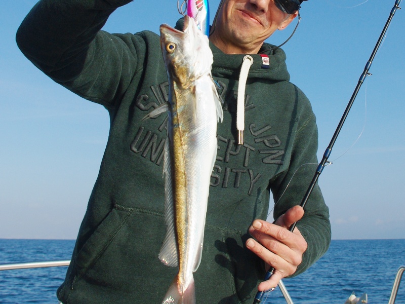 Les slow jigs sont d’excellents leurres pour pêcher les merlus !