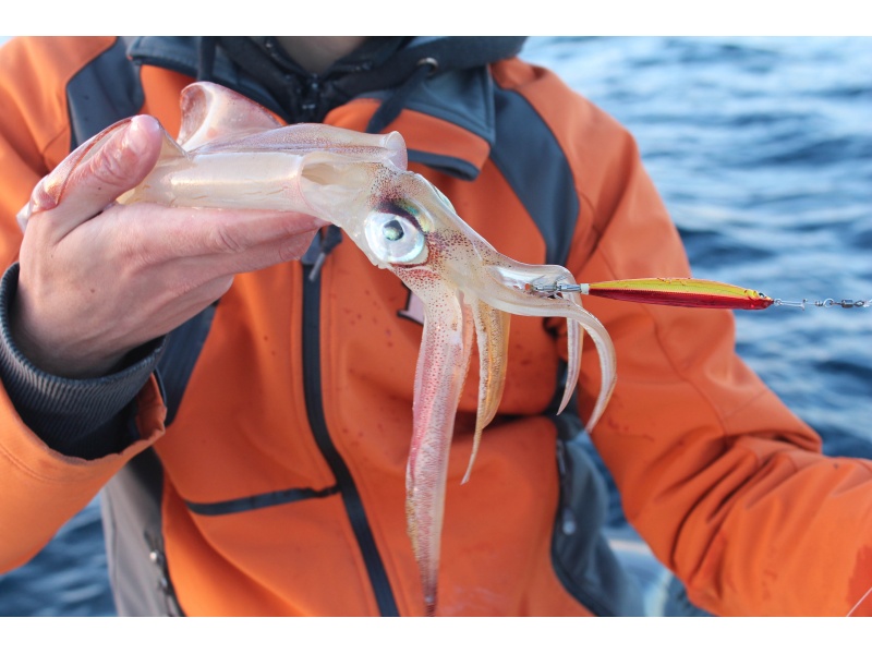 6.jpg Peche de la dorade du bord