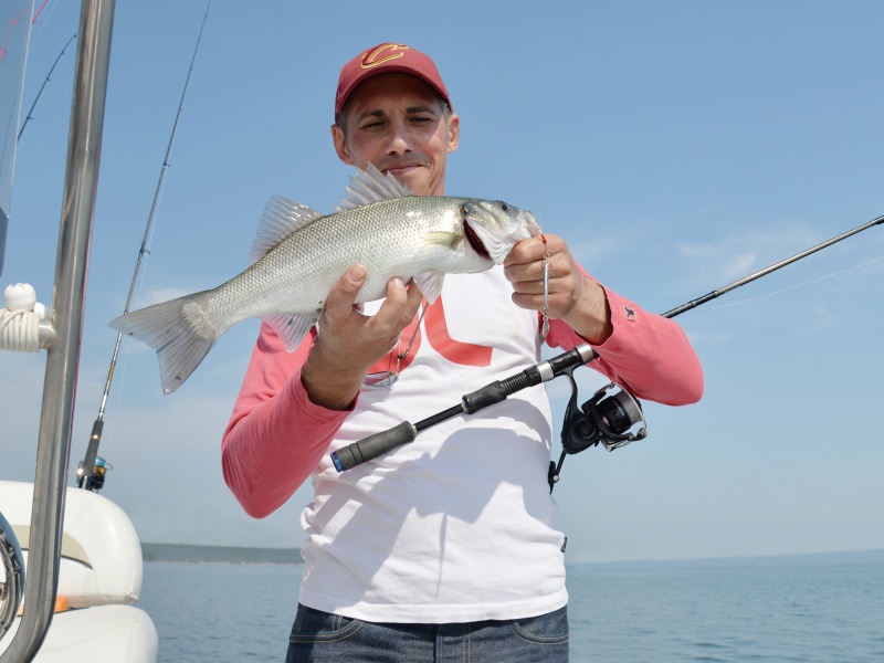 Comme souvent, ce bar a mordu lors de la phase de relâcher du casting jig !