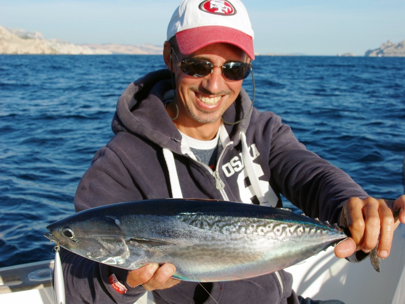 Les vibrations d’un minnow permettent de décider les bonites difficiles !