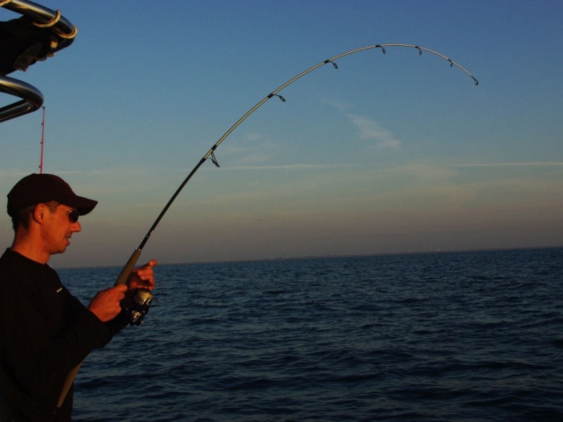 8 braid daiwa même en 12 centièmes elle supporte du lourd 
