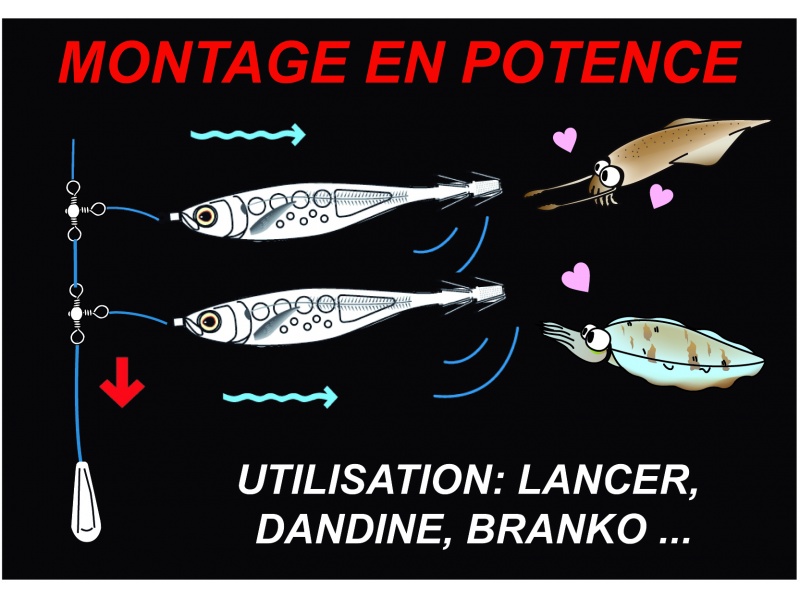 La Crystal Ultra Yo-Zuri peut aussi bien être montée sur de courtes potences qu’en drop shot.