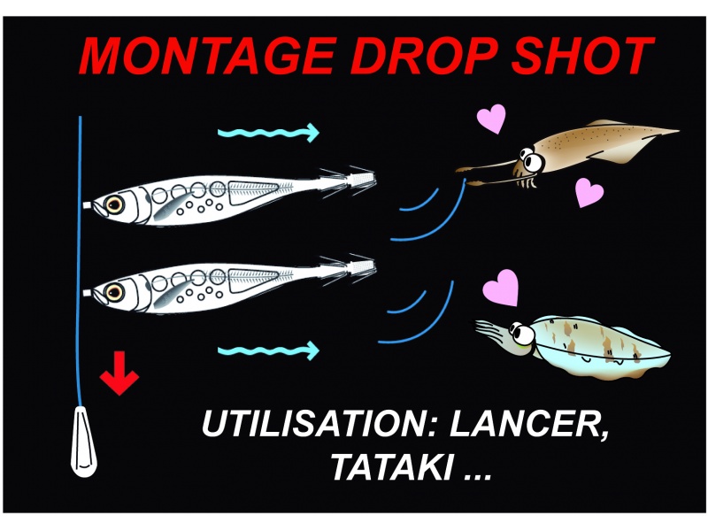 La Crystal Ultra Yo-Zuri peut aussi bien être montée sur de courtes potences qu’en drop shot.