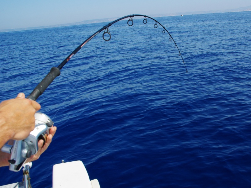il est rare de decrocher avec le circle hook