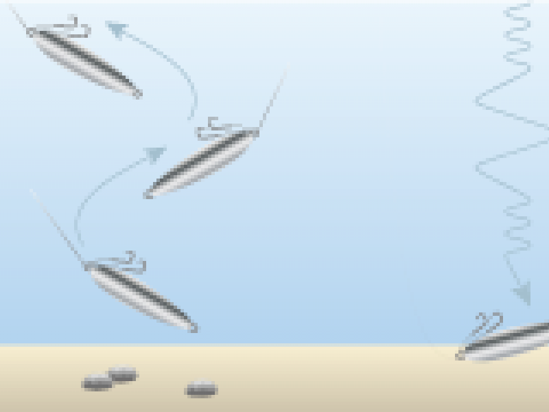 Schéma, action Slow Jigging