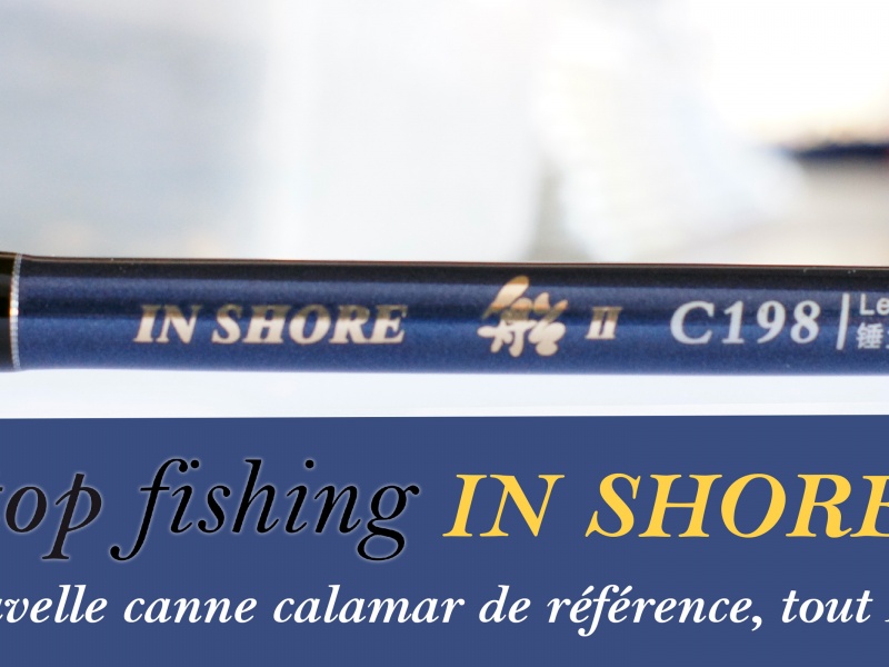 Annonce Canne In Shore