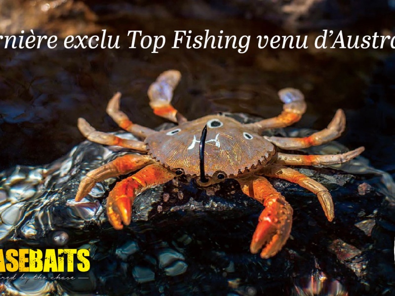 annonce-chasebaits-smash-crab.jpg Aucune description