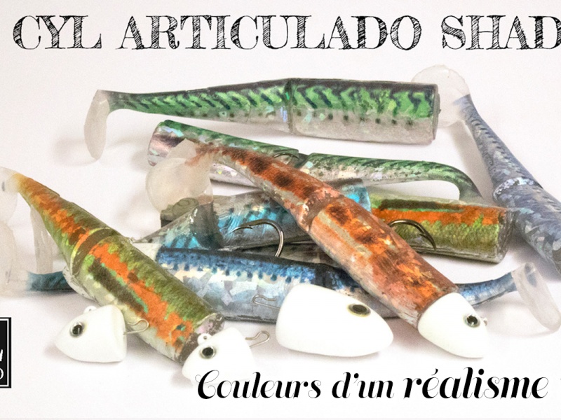 Annonce Articulado Shad
