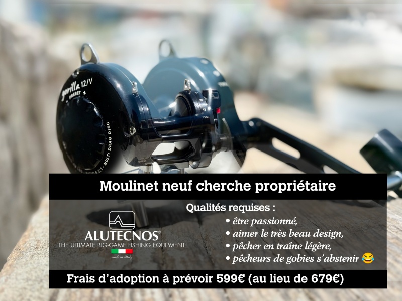 annonce-gorilla-12.jpg Aucune description