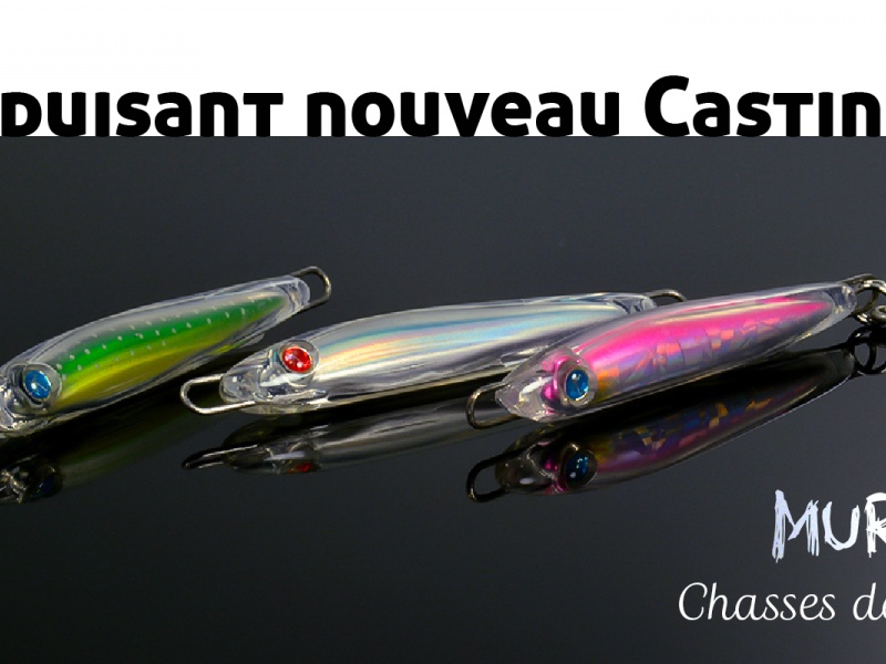 Annonce leurre Seaspin