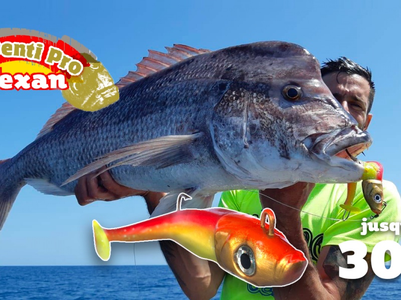 annonce-shad-denti-pro-texan-jlc-en-peche.jpg Aucune description