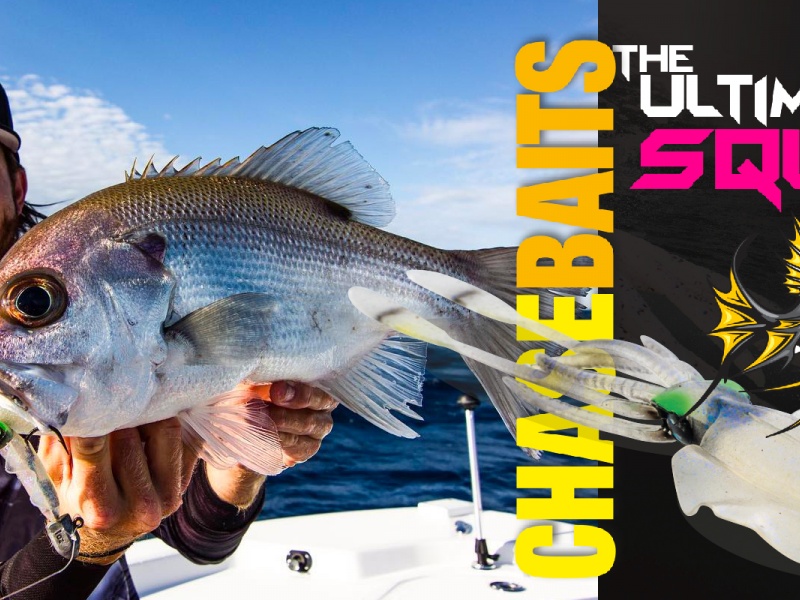 annonce-ultimate-squid-chasebait-1600x800.jpg Aucune description